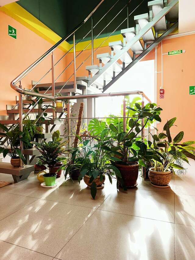 Гостевой дом Афоня Афонино-4